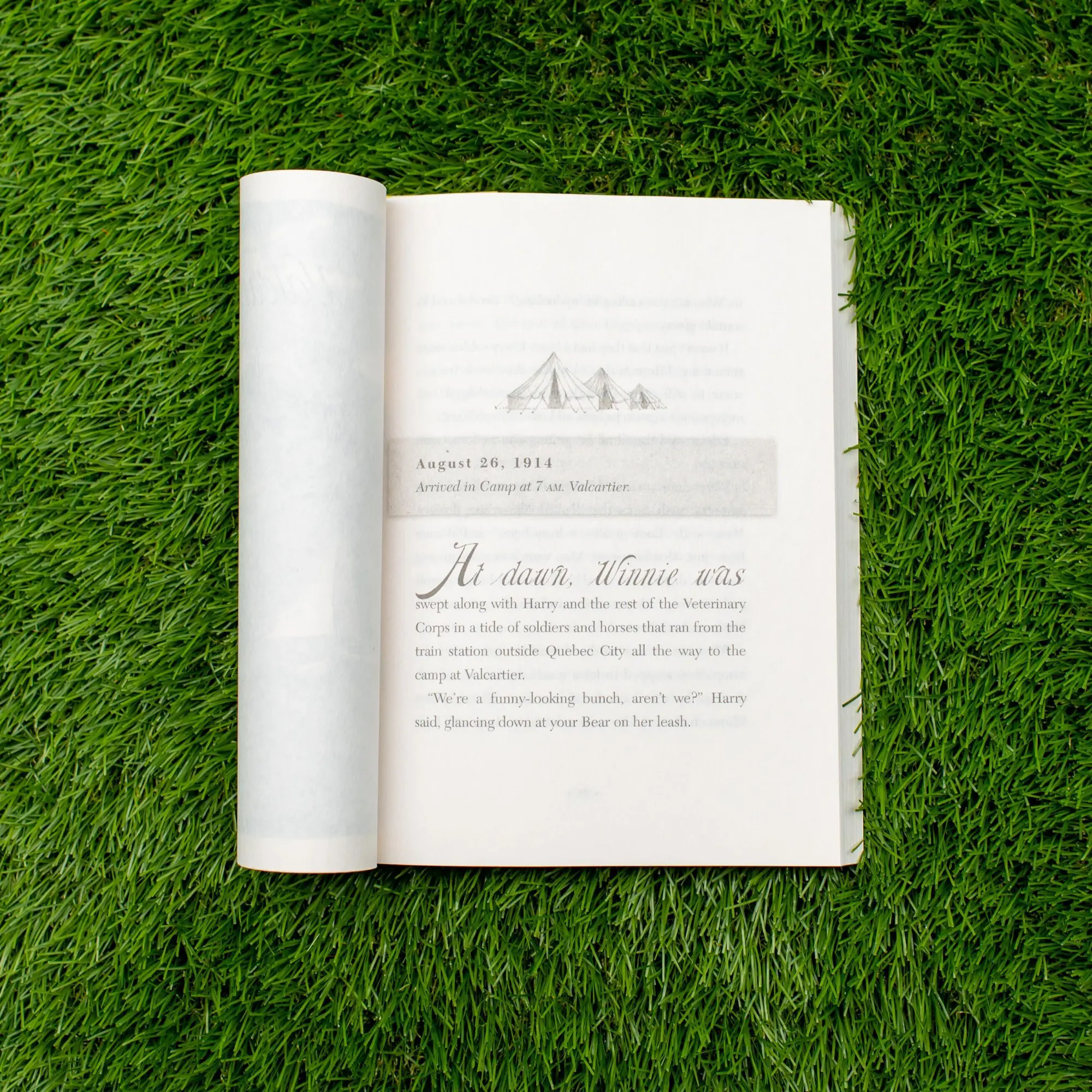 Bild: 9780316447096 | Winnie's Great War | Lindsay Mattick | Taschenbuch | Englisch | 2019
