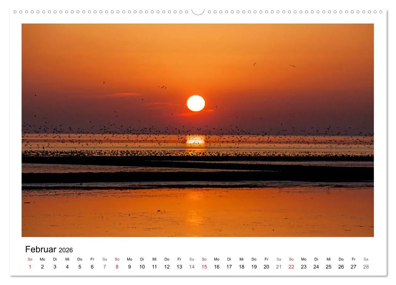 Bild: 9783457967096 | Ostfriesland - Tour (Wandkalender 2026 DIN A2 quer), CALVENDO...