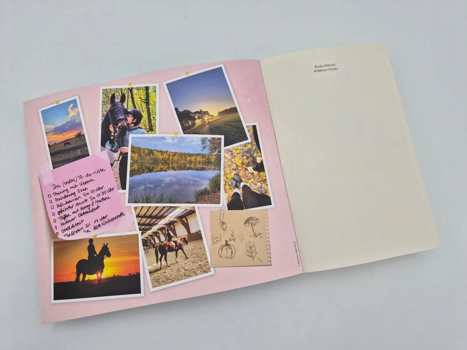 Bild: 9783492067096 | Wildflower Dreams | Bianka Behrend | Taschenbuch | 384 S. | Deutsch
