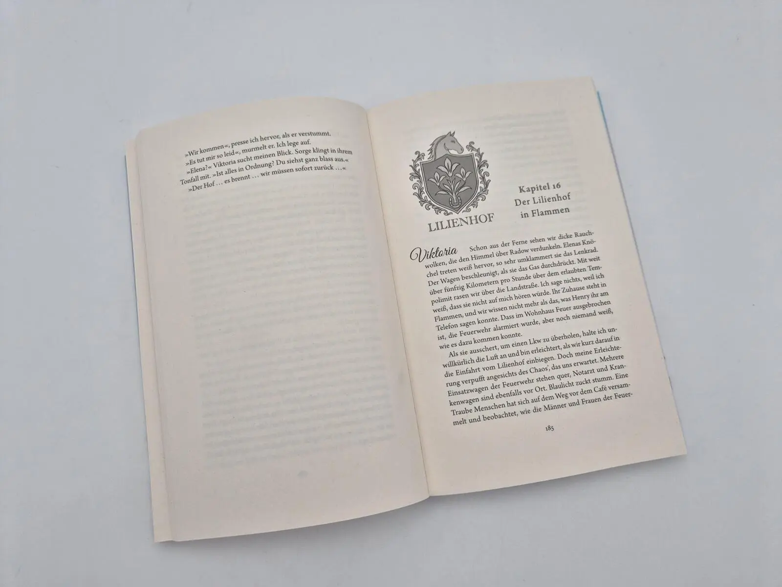 Bild: 9783492067096 | Wildflower Dreams | Bianka Behrend | Taschenbuch | 384 S. | Deutsch