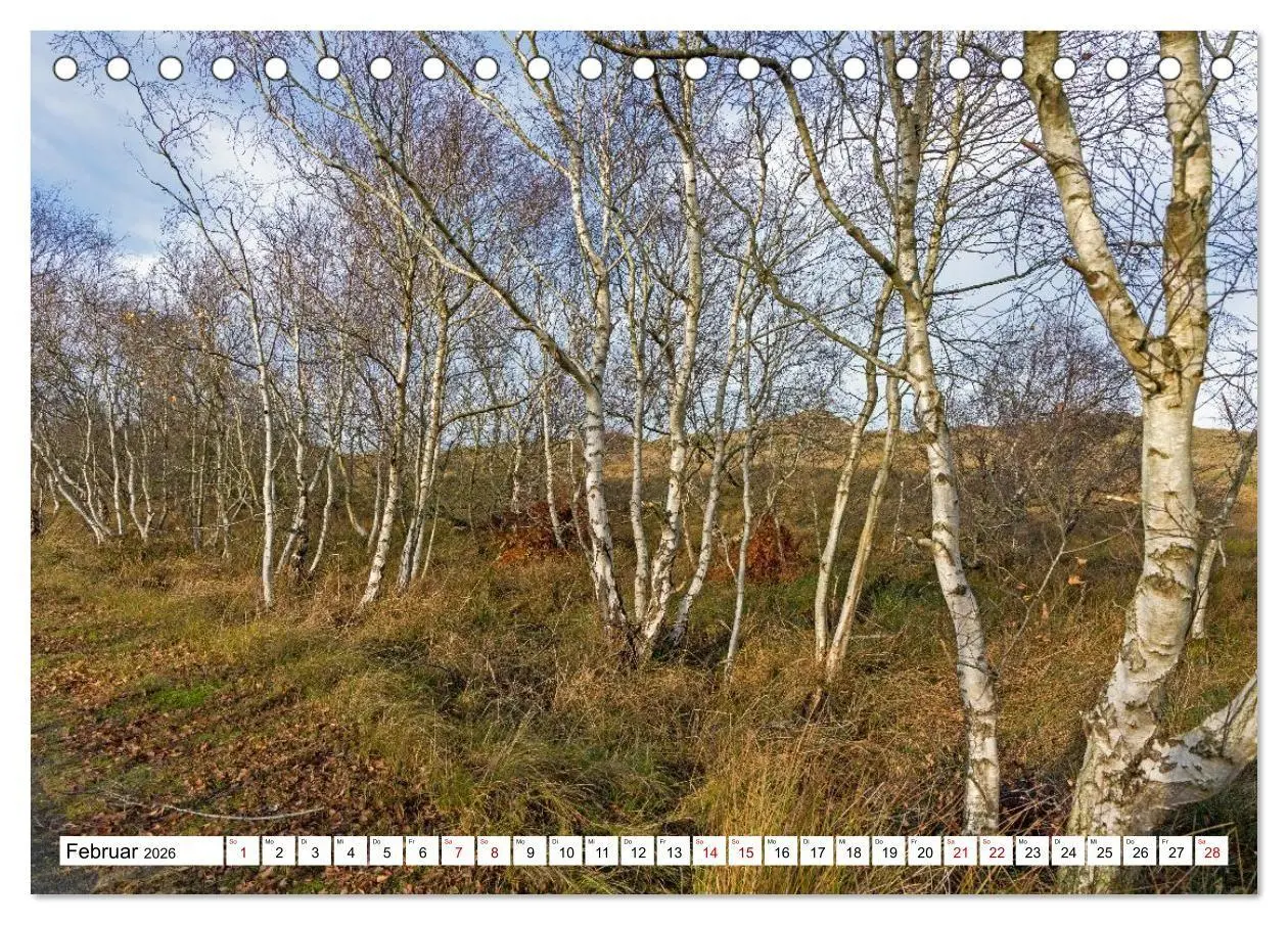 Bild: 9783516747096 | Wintertage auf Norderney (Tischkalender 2026 DIN A5 quer), CALVENDO...