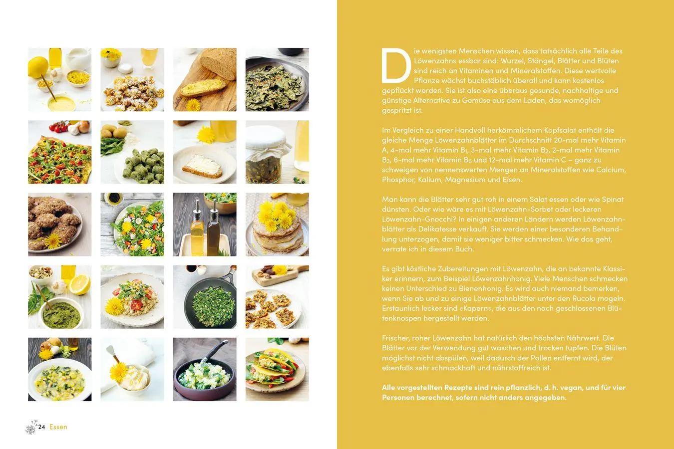 Bild: 9783818627096 | Löwenzahn | Das Multitalent - von Pesto bis Peeling | Meer | Buch