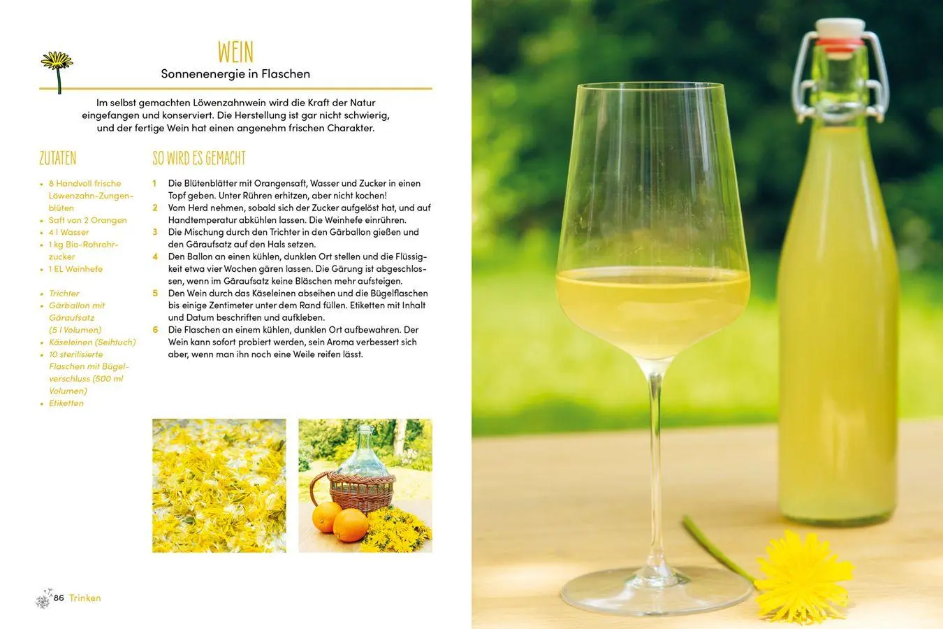 Bild: 9783818627096 | Löwenzahn | Das Multitalent - von Pesto bis Peeling | Meer | Buch