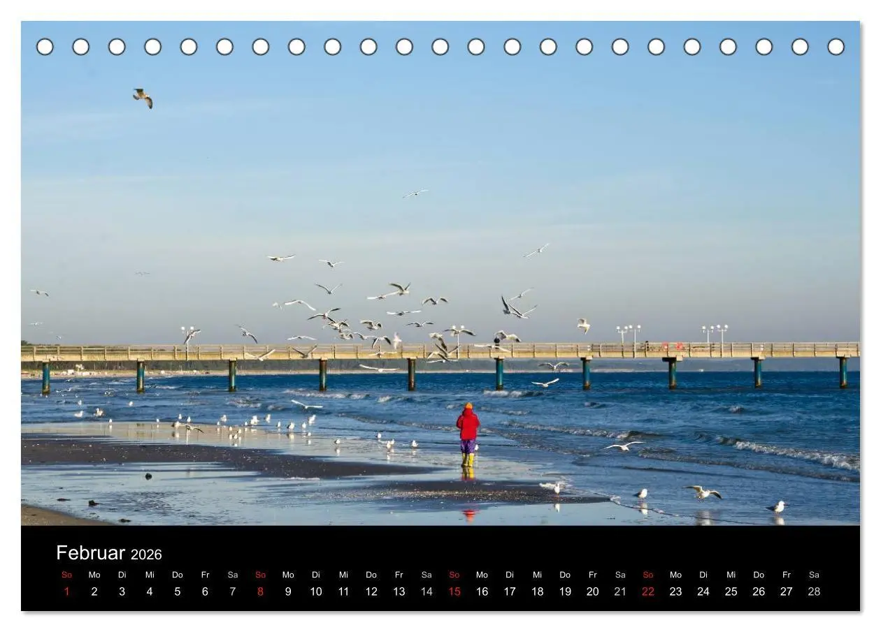 Bild: 9783516117196 | Meer und Küste (Tischkalender 2026 DIN A5 quer), CALVENDO...