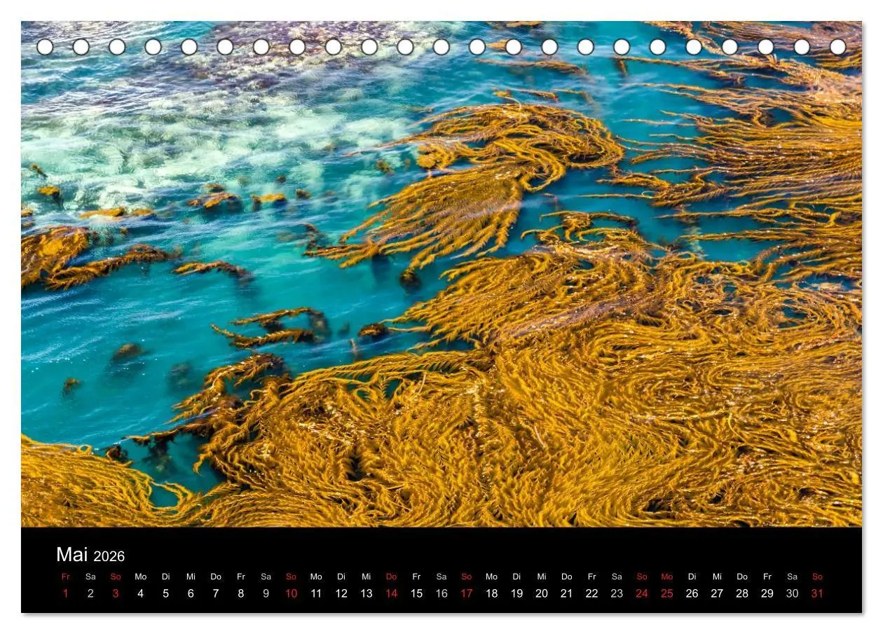 Bild: 9783516117196 | Meer und Küste (Tischkalender 2026 DIN A5 quer), CALVENDO...