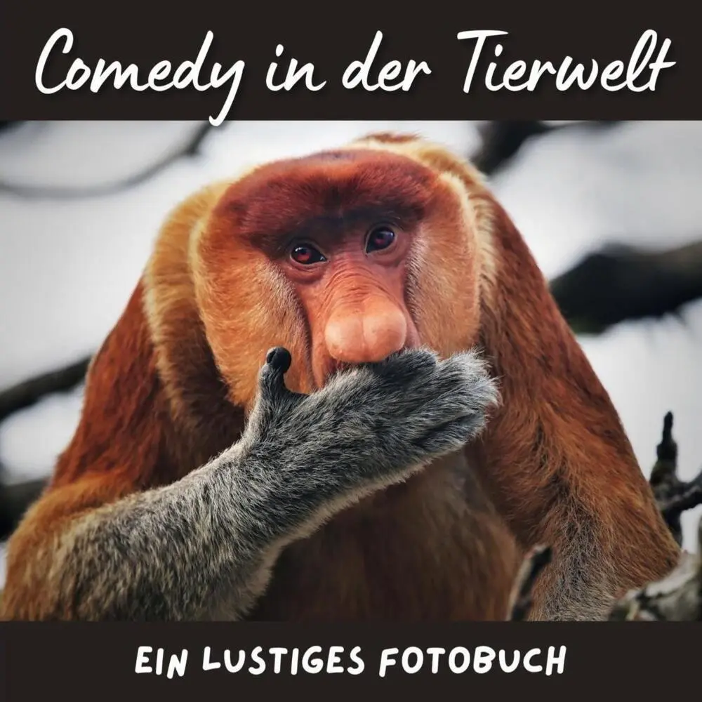 Cover: 9783750517196 | Comedy in der Tierwelt | Bibi Hübsch | Taschenbuch | 42 S. | Deutsch