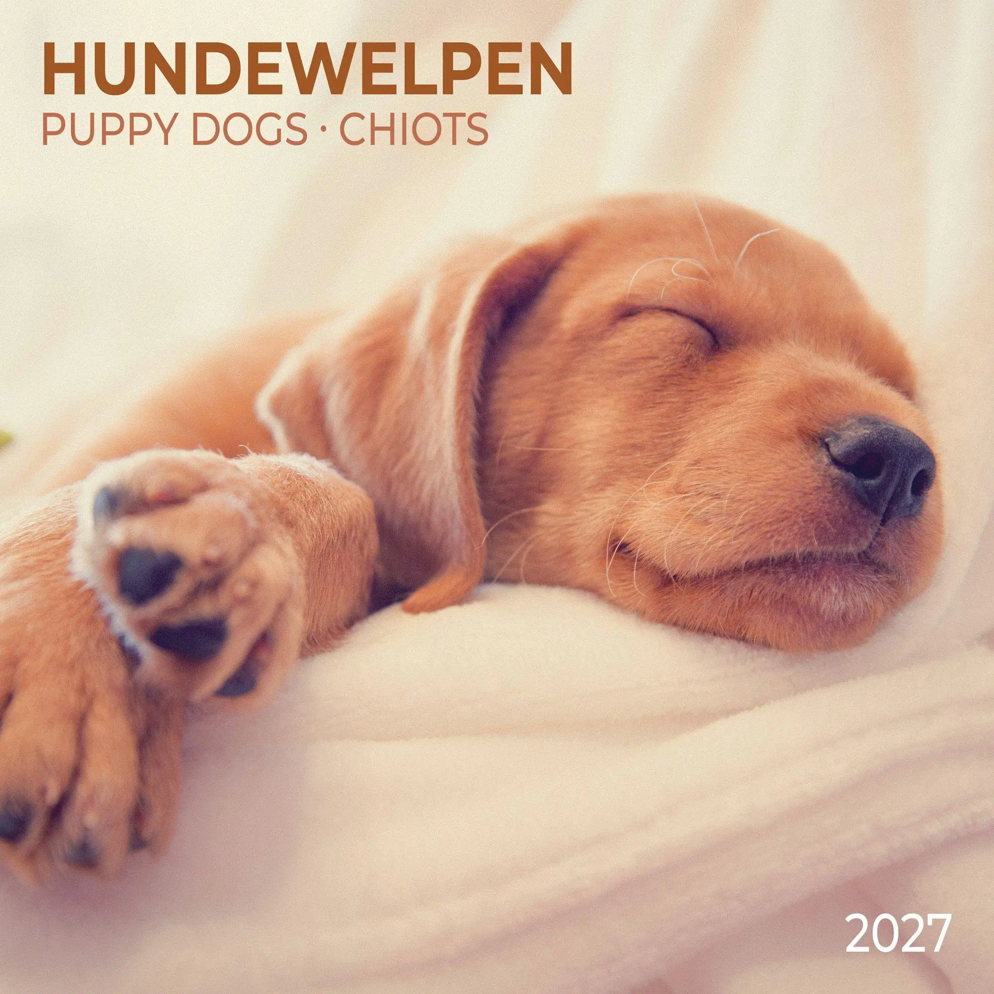 Cover: 9783959297196 | Hundewelpen / Puppy Dogs 2027 | Kalender 2027 | Kalender | 28 S.