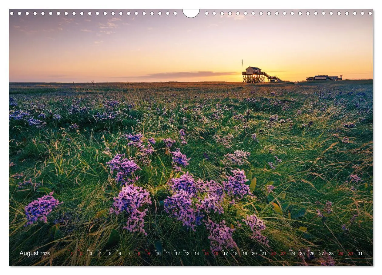 Bild: 9783457497296 | Nordseeurlaub in St. Peter-Ording (Wandkalender 2026 DIN A3 quer),...
