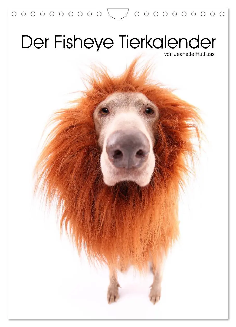 Cover: 9783516417296 | Der Fisheye Tiere Kalender (Wandkalender 2026 DIN A4 hoch),...