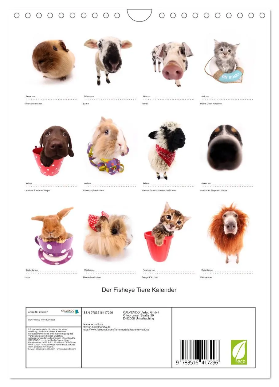 Bild: 9783516417296 | Der Fisheye Tiere Kalender (Wandkalender 2026 DIN A4 hoch),...