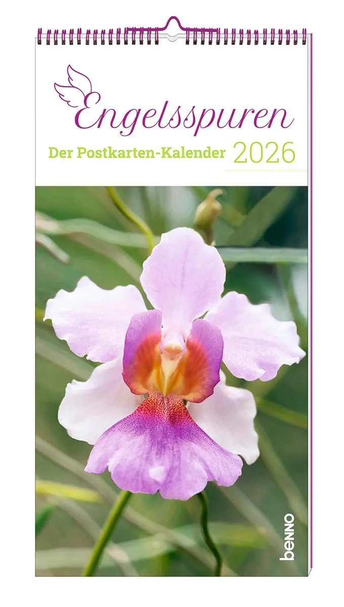 Cover: 9783746267296 | Engelsspuren 2026 | Der Postkarten-Kalender | Kalender | Spiralbindung