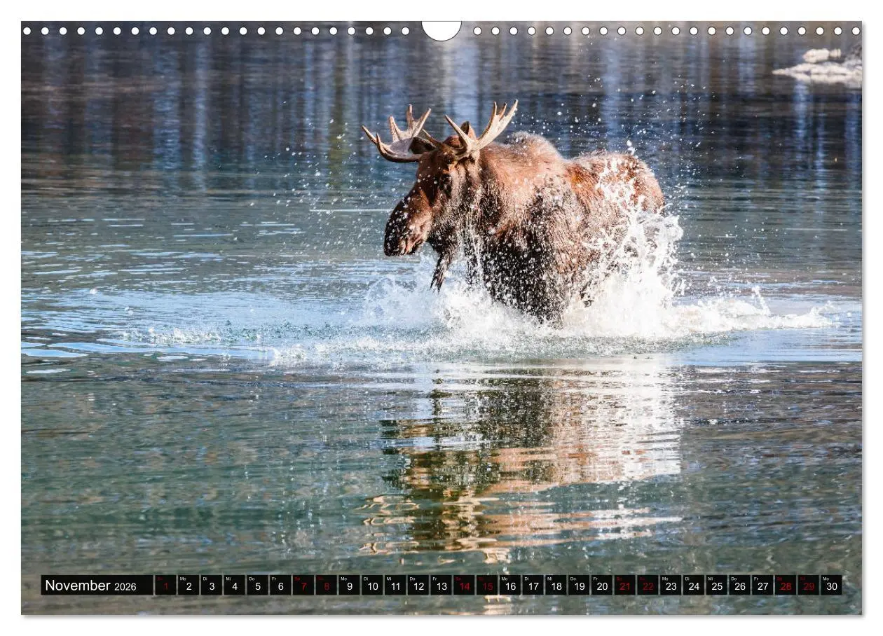 Bild: 9783457627396 | Kanada - Abenteuer in den Nationalparks (Wandkalender 2026 DIN A3...
