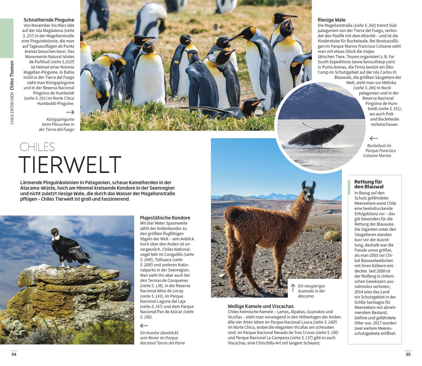 Bild: 9783734207396 | Vis-à-Vis Reiseführer Chile &amp; Osterinsel | DK Verlag - Reise | Buch