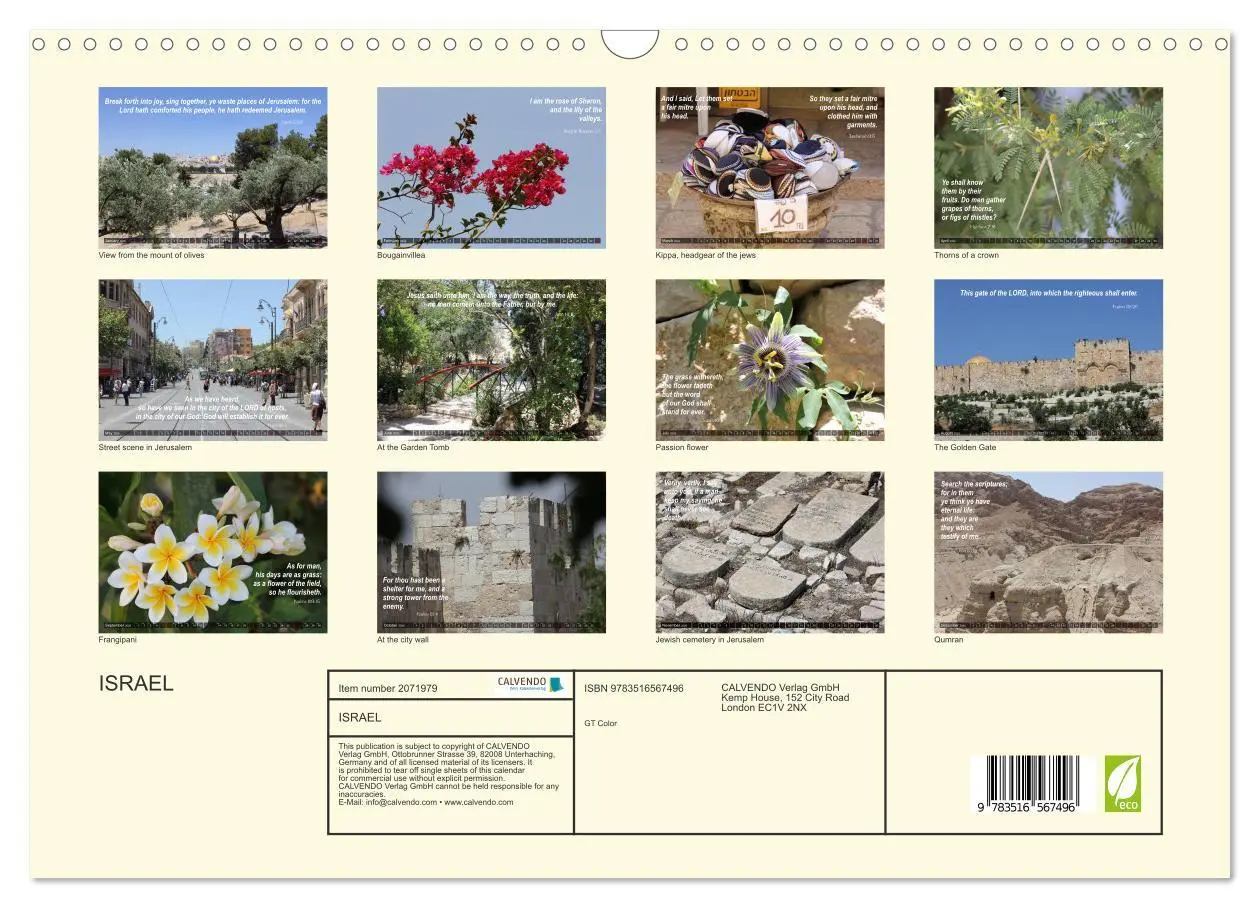 Bild: 9783516567496 | ISRAEL (Wall Calendar 2026 DIN A3 landscape), CALVENDO 12 Month...