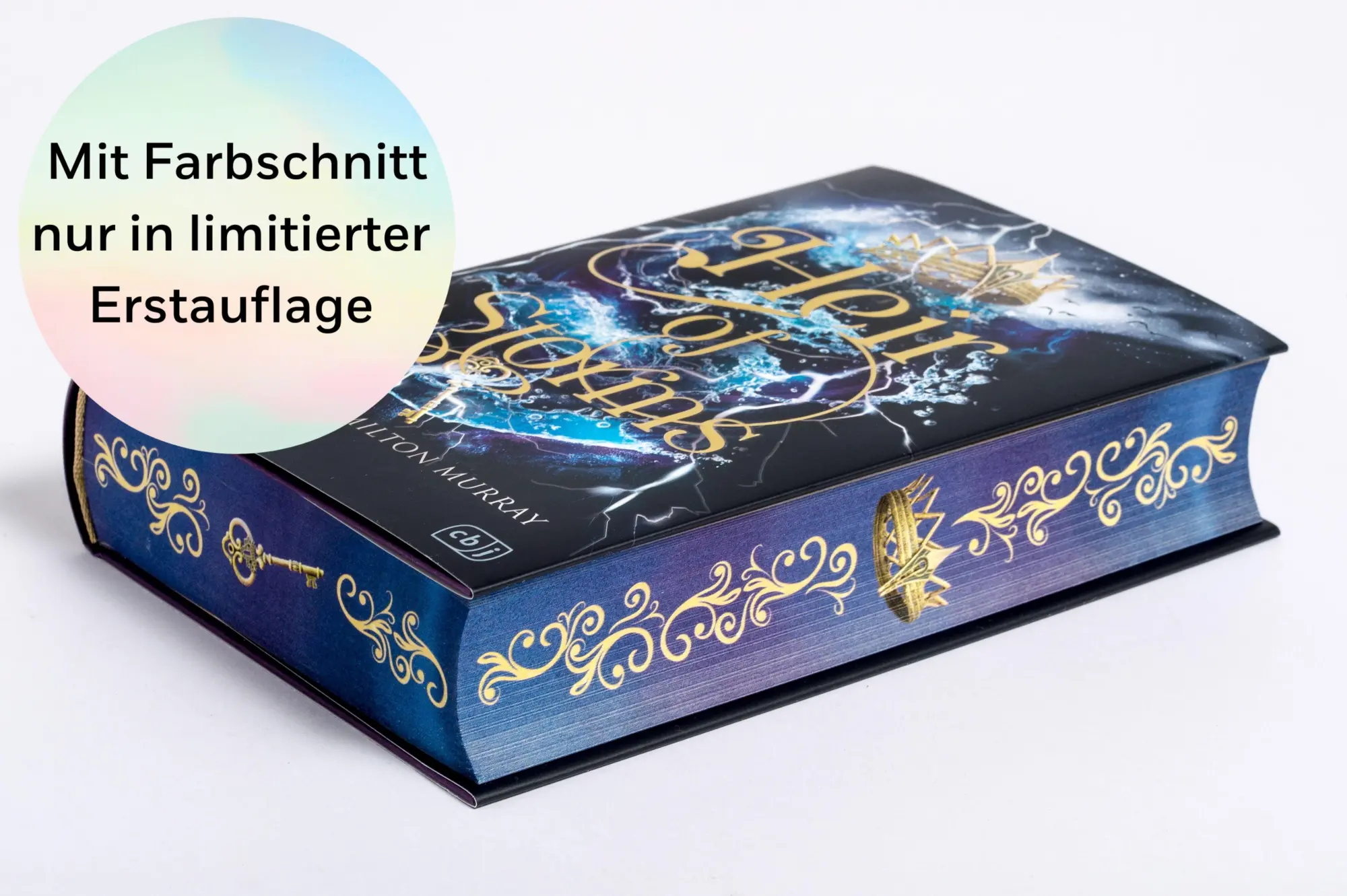 Bild: 9783570167496 | Heir of Storms | Lauryn Hamilton Murray | Buch | 544 S. | Deutsch
