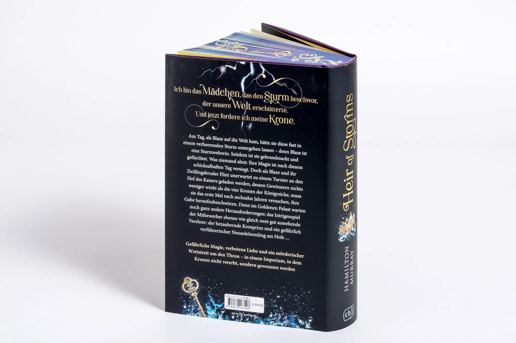 Bild: 9783570167496 | Heir of Storms | Lauryn Hamilton Murray | Buch | 544 S. | Deutsch
