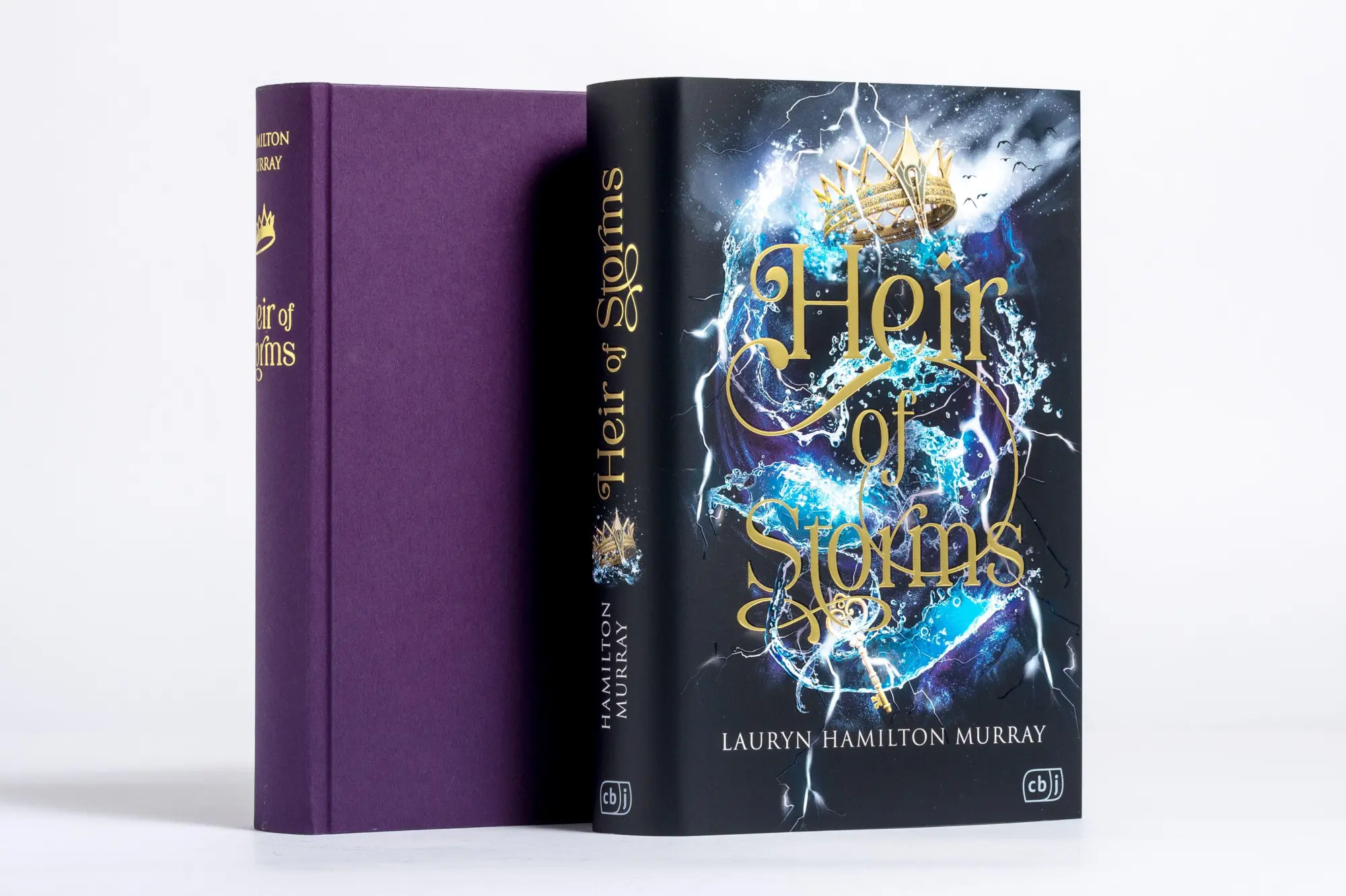 Bild: 9783570167496 | Heir of Storms | Lauryn Hamilton Murray | Buch | 544 S. | Deutsch