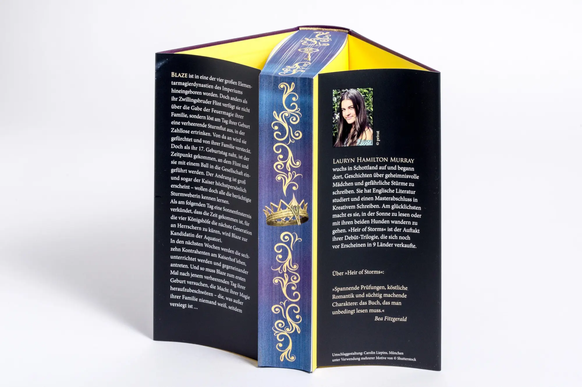 Bild: 9783570167496 | Heir of Storms | Lauryn Hamilton Murray | Buch | 544 S. | Deutsch