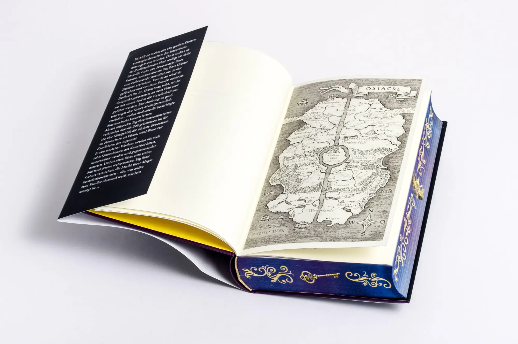 Bild: 9783570167496 | Heir of Storms | Lauryn Hamilton Murray | Buch | 544 S. | Deutsch