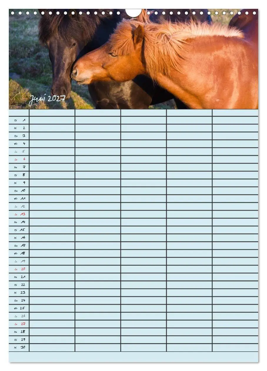 Bild: 9783594237496 | Island Familienplaner (Wandkalender 2027 DIN A3 hoch), CALVENDO...