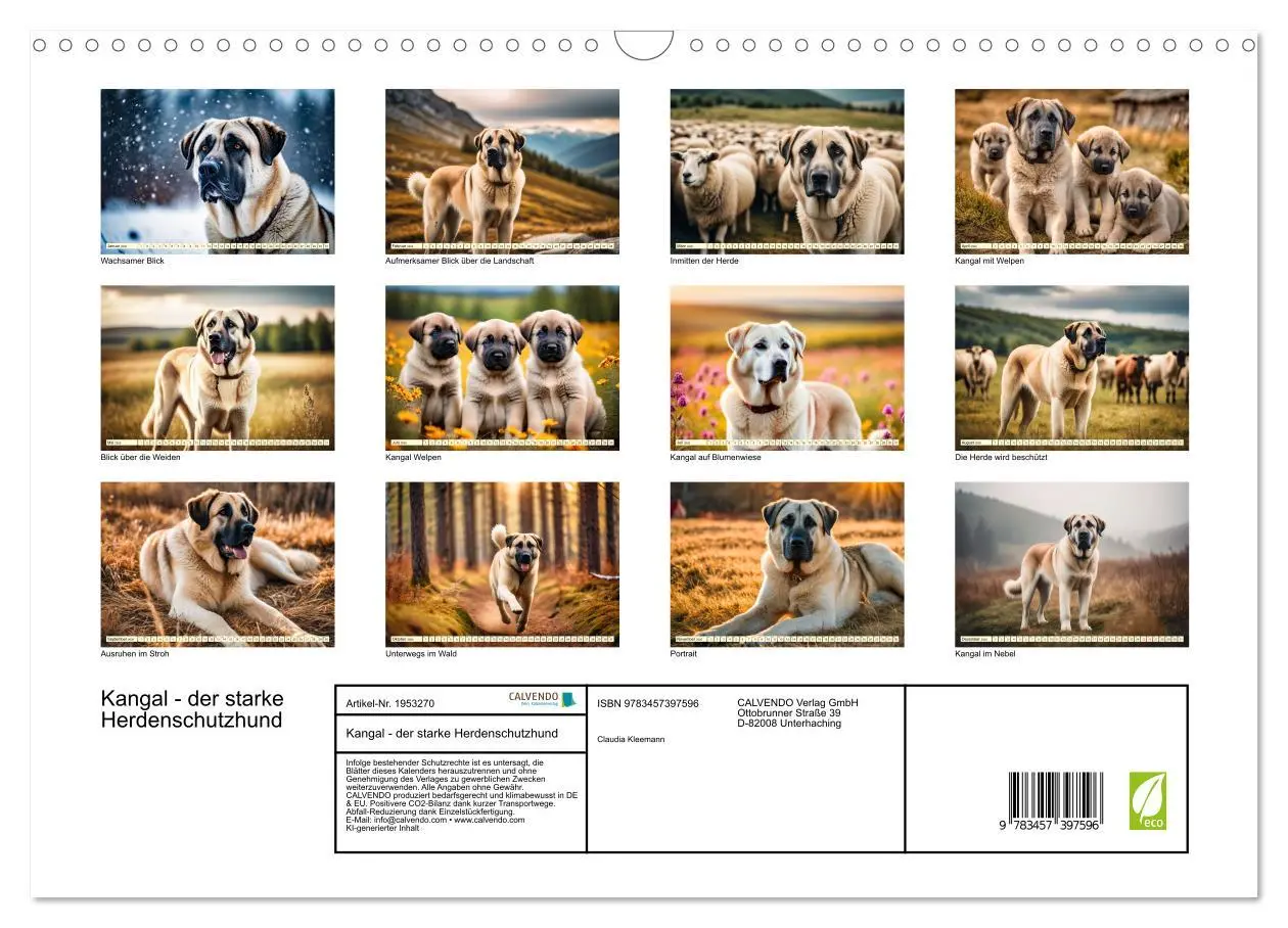 Bild: 9783457397596 | Kangal - der starke Herdenschutzhund (Wandkalender 2026 DIN A3...