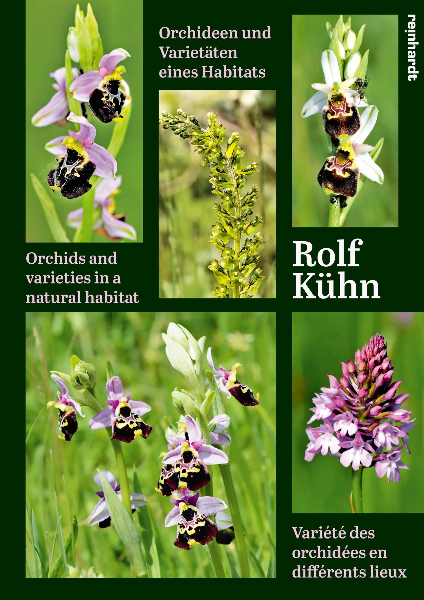 Cover: 9783724527596 | Orchideen und Varietäten eines Habitats | Rolf Kühn | Buch | 120 S.