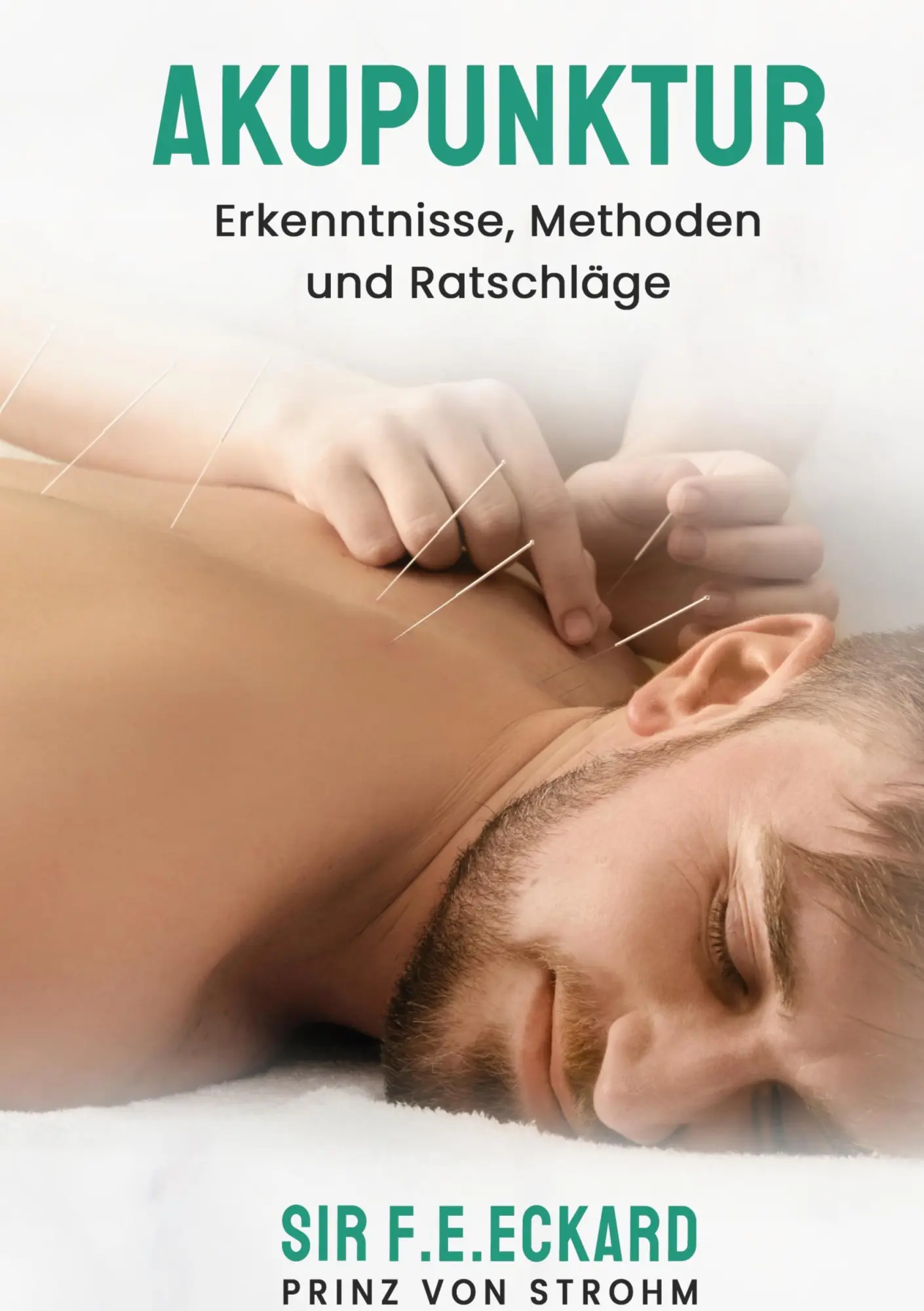 Cover: 9783756827596 | Akupunktur | Erkenntnisse, Methoden und Ratschläge | Strohm | Buch