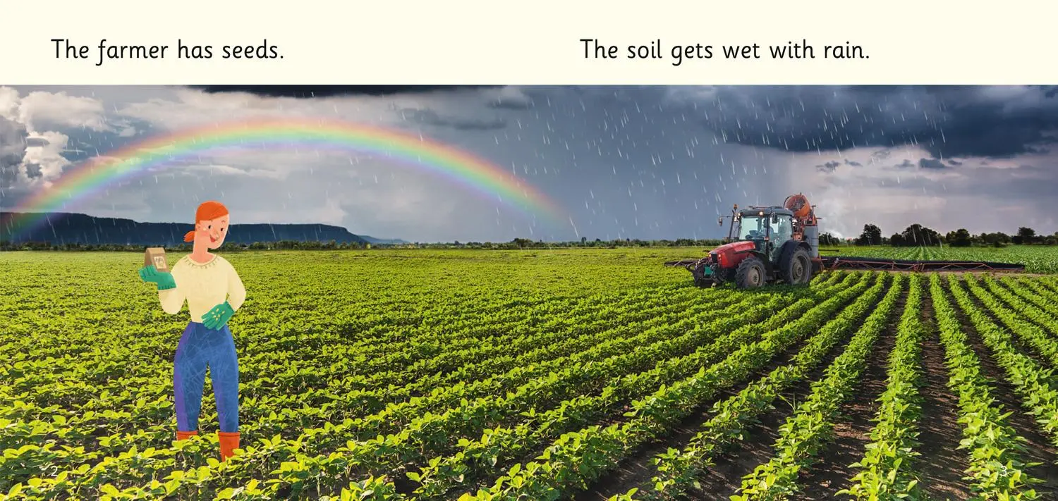 Bild: 9780008357696 | Food on the Farm | Band 02b/Red B | Catherine Casey | Taschenbuch