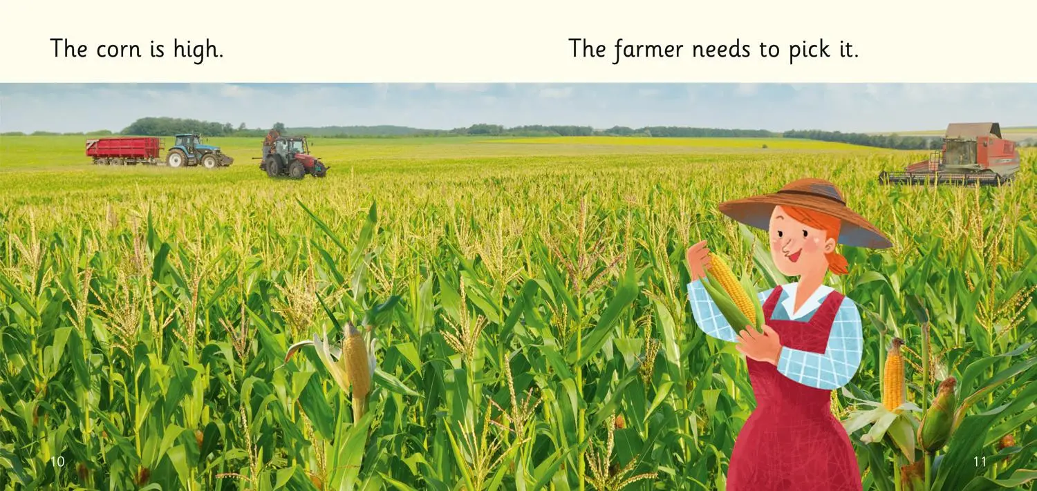 Bild: 9780008357696 | Food on the Farm | Band 02b/Red B | Catherine Casey | Taschenbuch