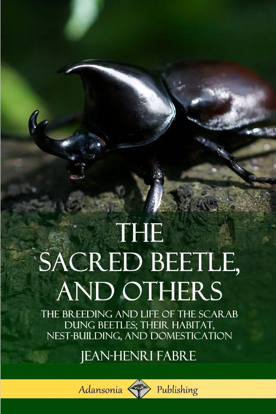 Cover: 9780359747696 | The Sacred Beetle, and Others | Jean-Henri Fabre | Taschenbuch | 2019