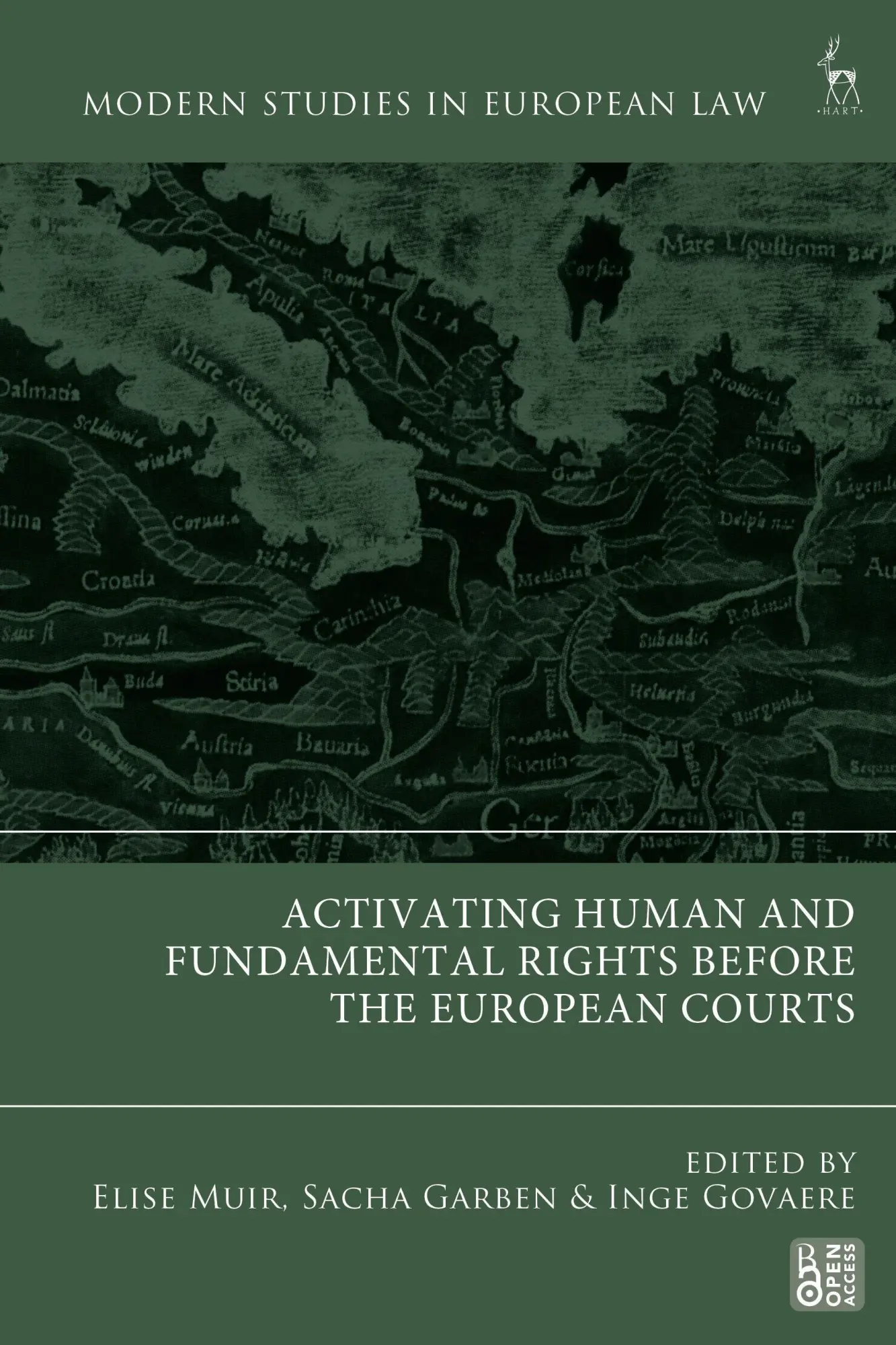 Cover: 9781509987696 | Activating Human and Fundamental Rights Before the European Courts