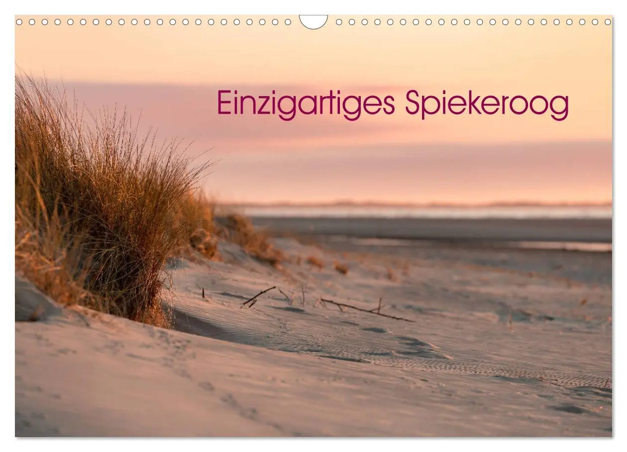 Cover: 9783435367696 | Einzigartiges Spiekeroog (Wandkalender 2025 DIN A3 quer), CALVENDO...