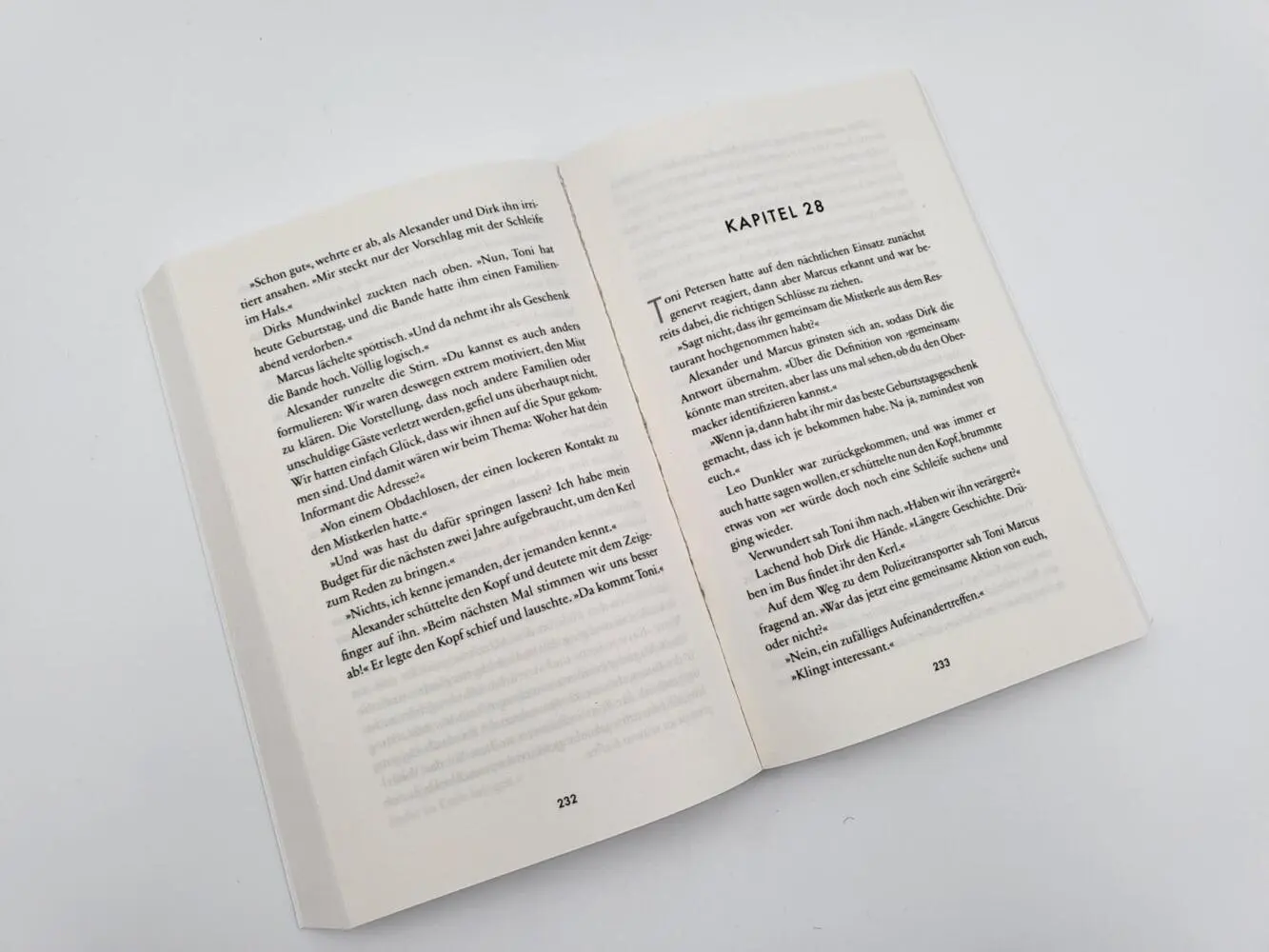 Bild: 9783492317696 | Der Reiz des Bösen | Stefanie Ross | Taschenbuch | 432 S. | Deutsch