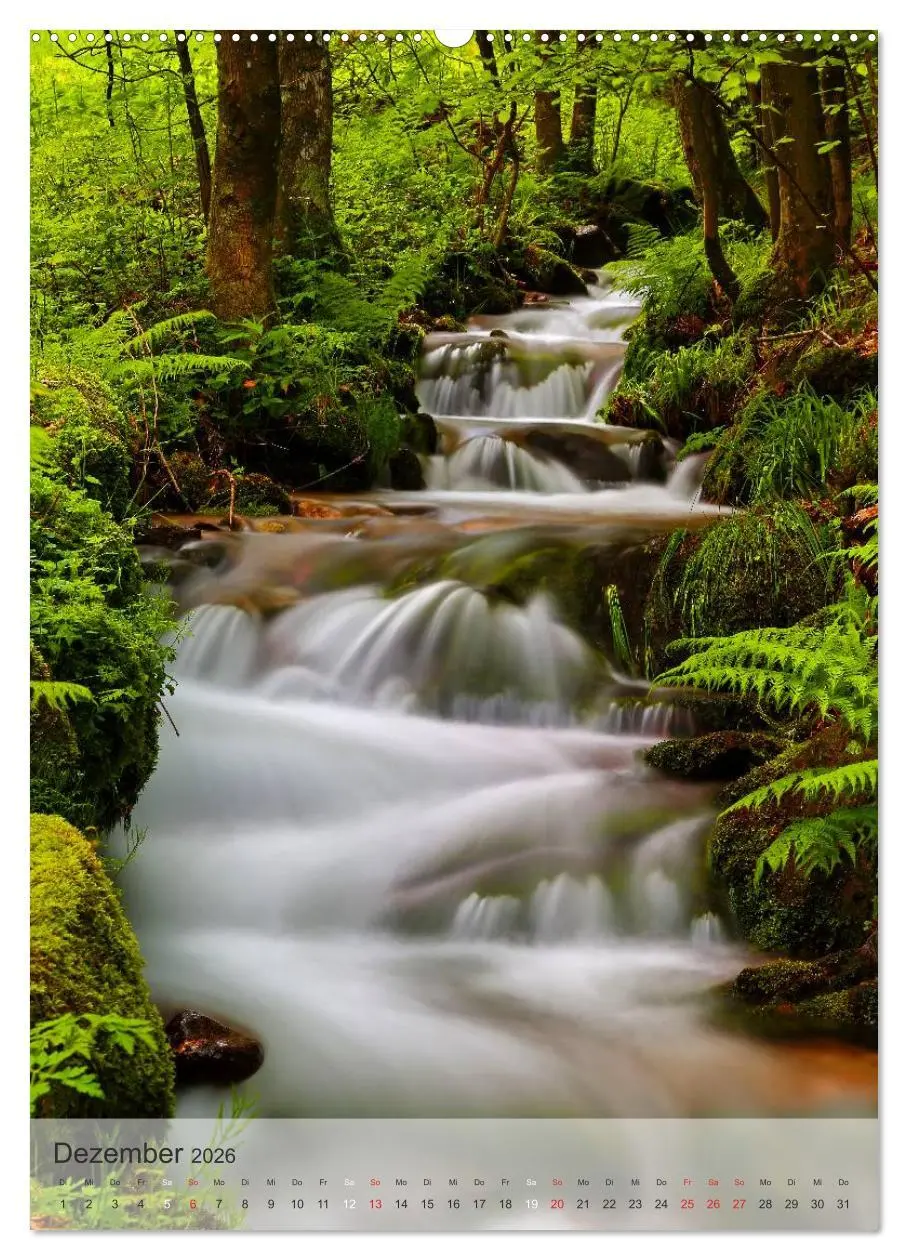 Bild: 9783516477696 | Alles im Fluss - Schwarzwaldwasser (Wandkalender 2026 DIN A2 hoch),...