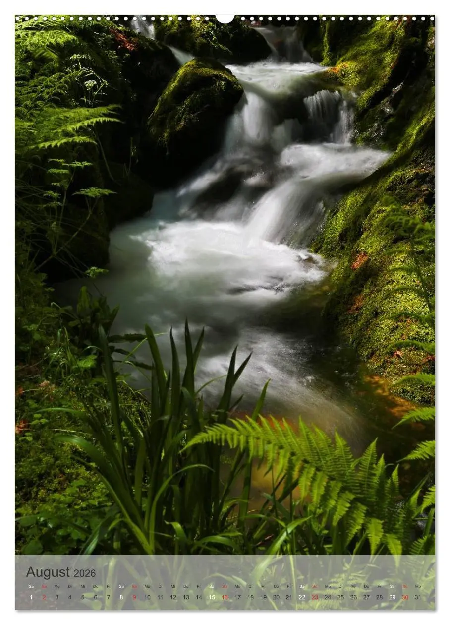 Bild: 9783516477696 | Alles im Fluss - Schwarzwaldwasser (Wandkalender 2026 DIN A2 hoch),...