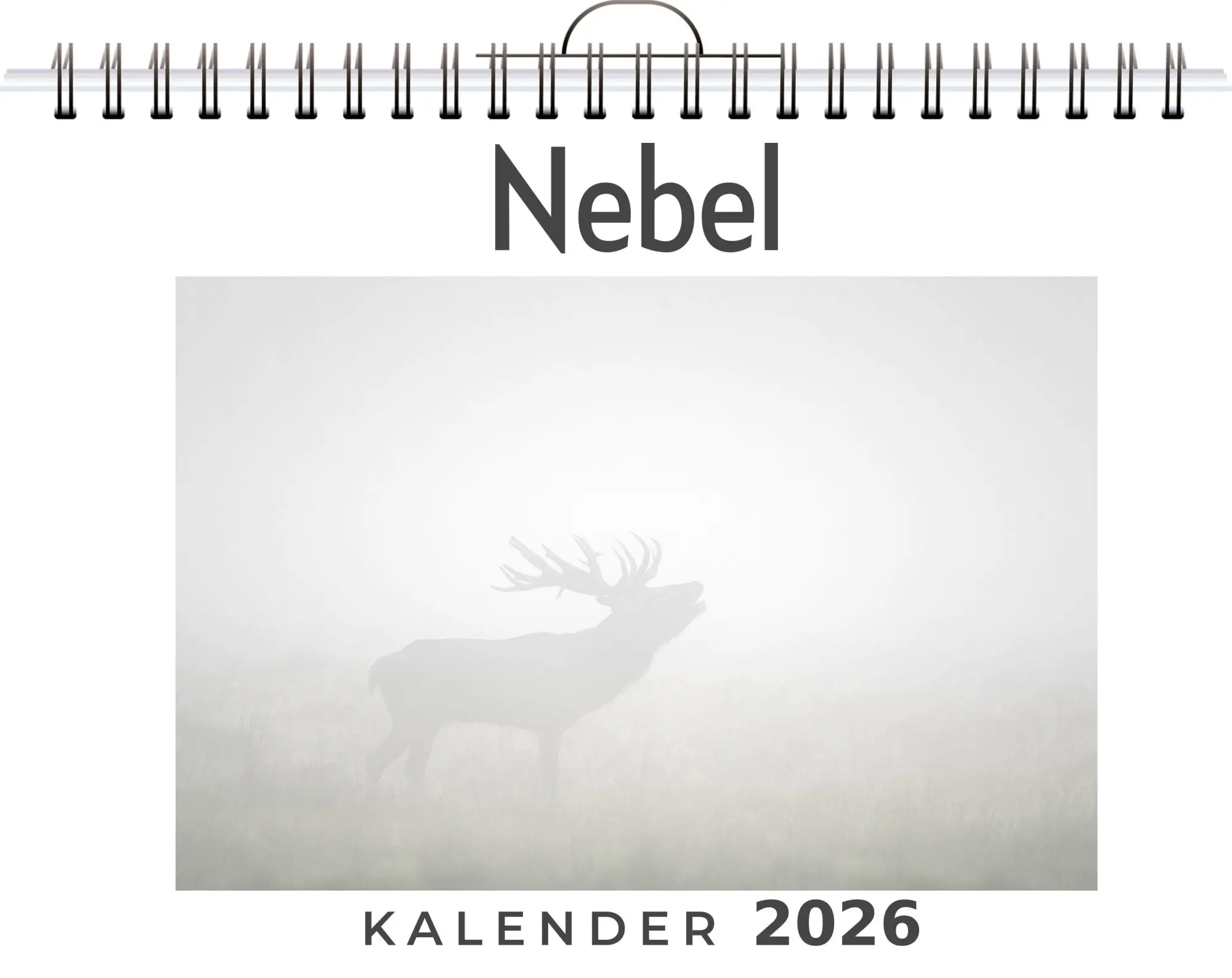 Cover: 9783759197696 | Nebel | Alice Werner | Kalender | Deutsch | 2026 | FlipFlop