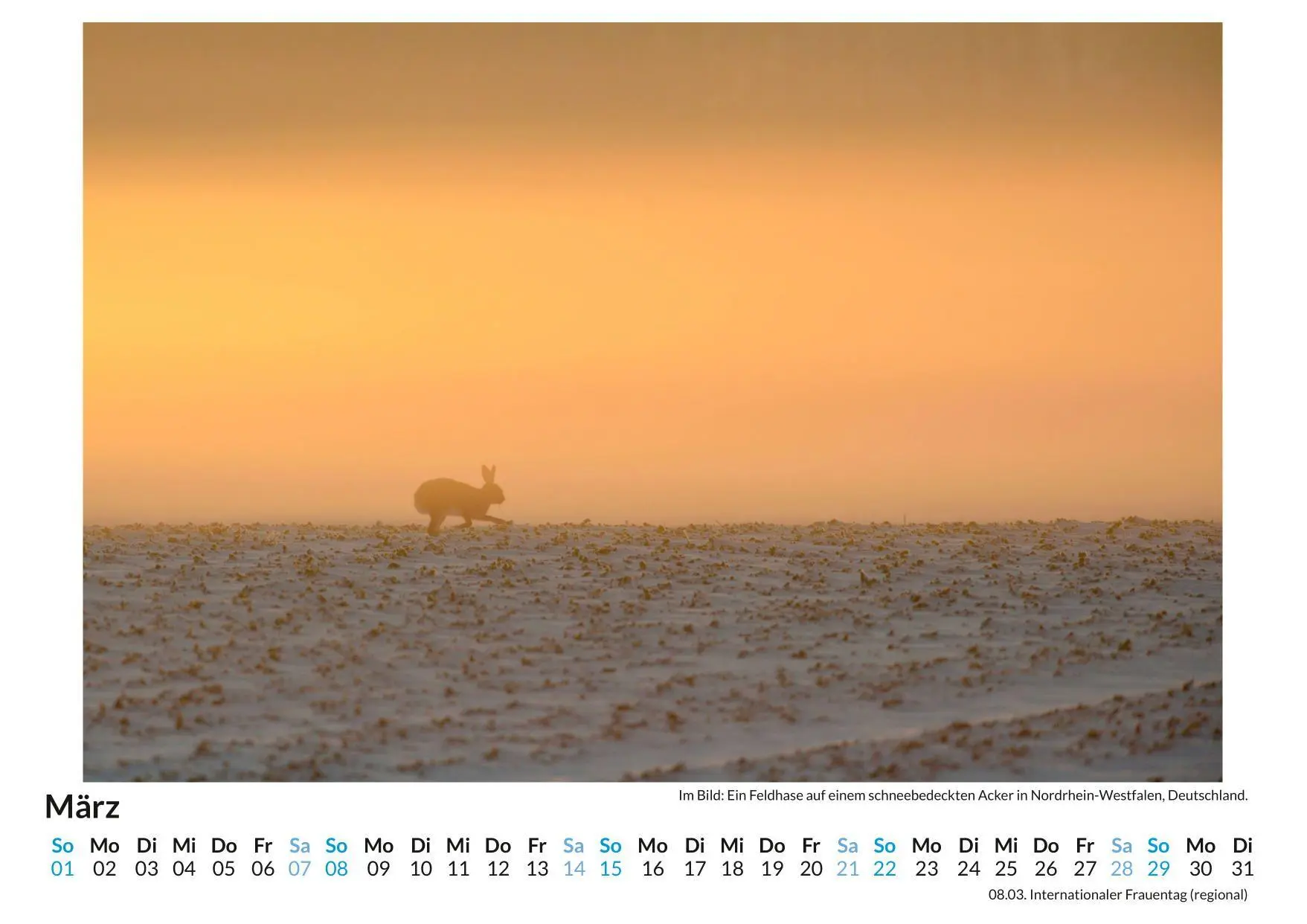 Bild: 9783759197696 | Nebel | Alice Werner | Kalender | Deutsch | 2026 | FlipFlop