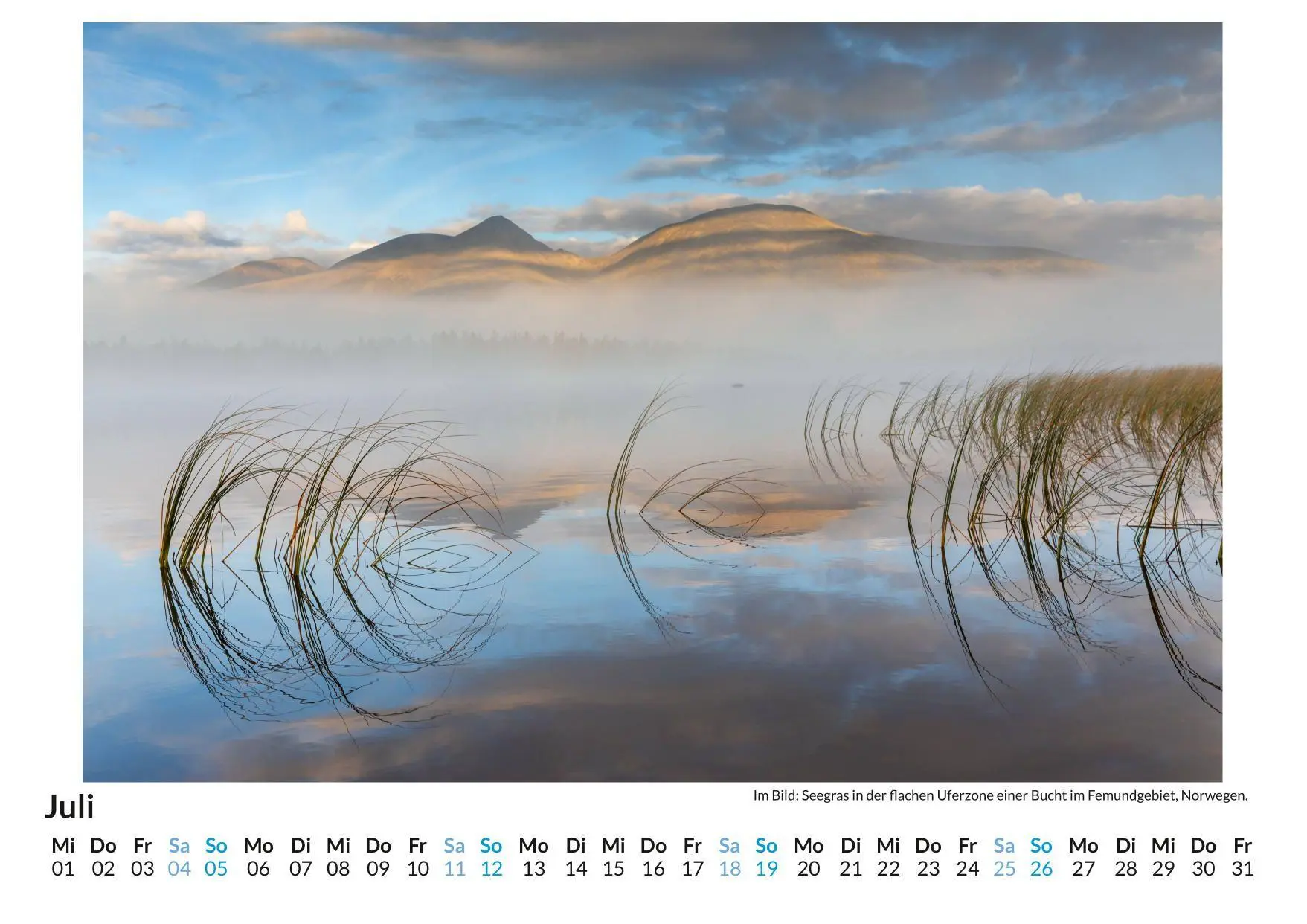 Bild: 9783759197696 | Nebel | Alice Werner | Kalender | Deutsch | 2026 | FlipFlop