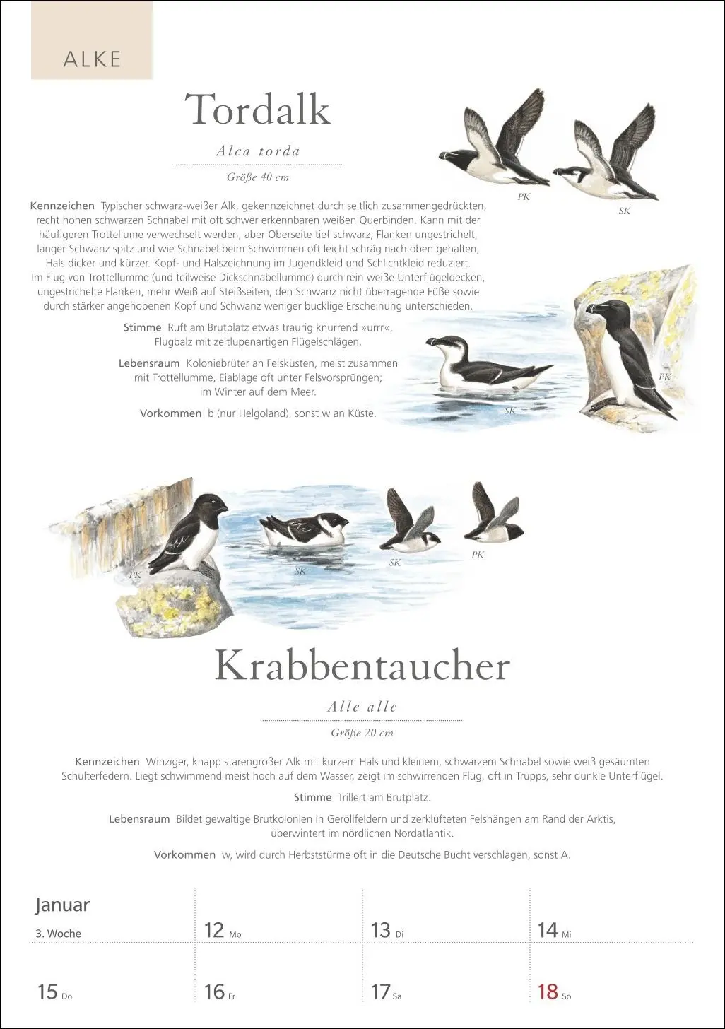 Bild: 9783840037696 | KOSMOS Was fliegt denn da? Wochenplaner 2026 - Der Kalender zum...