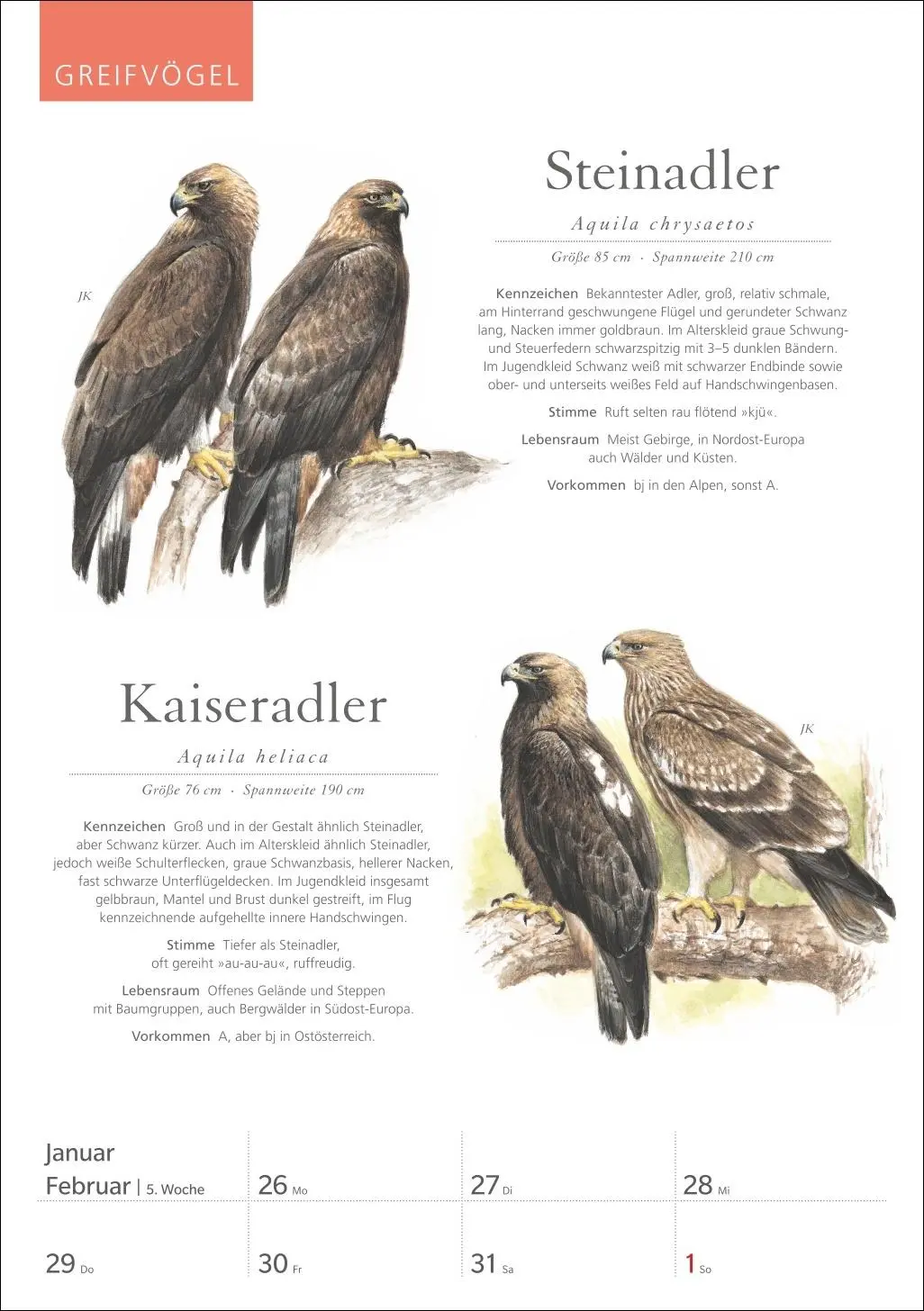 Bild: 9783840037696 | KOSMOS Was fliegt denn da? Wochenplaner 2026 - Der Kalender zum...