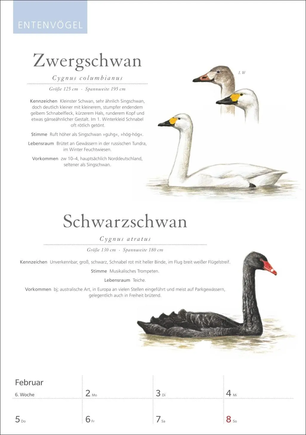 Bild: 9783840037696 | KOSMOS Was fliegt denn da? Wochenplaner 2026 - Der Kalender zum...