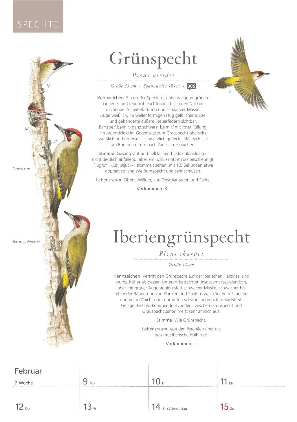 Bild: 9783840037696 | KOSMOS Was fliegt denn da? Wochenplaner 2026 - Der Kalender zum...