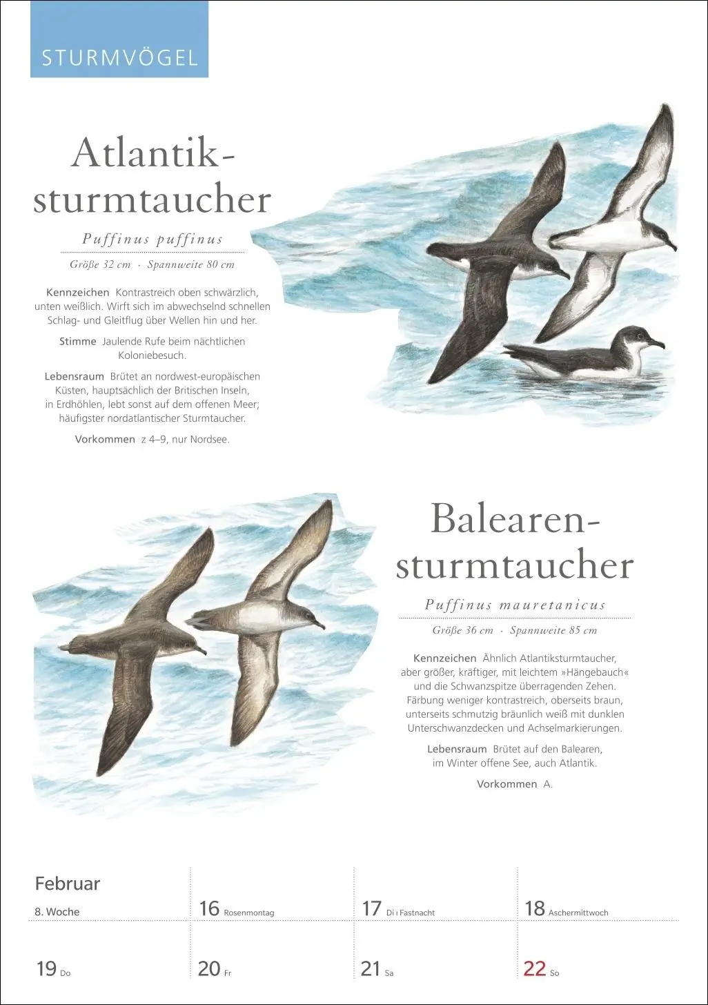 Bild: 9783840037696 | KOSMOS Was fliegt denn da? Wochenplaner 2026 - Der Kalender zum...