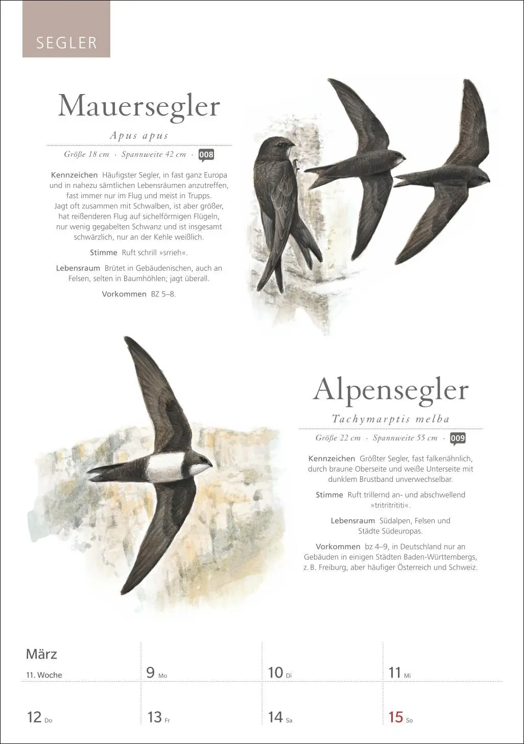 Bild: 9783840037696 | KOSMOS Was fliegt denn da? Wochenplaner 2026 - Der Kalender zum...