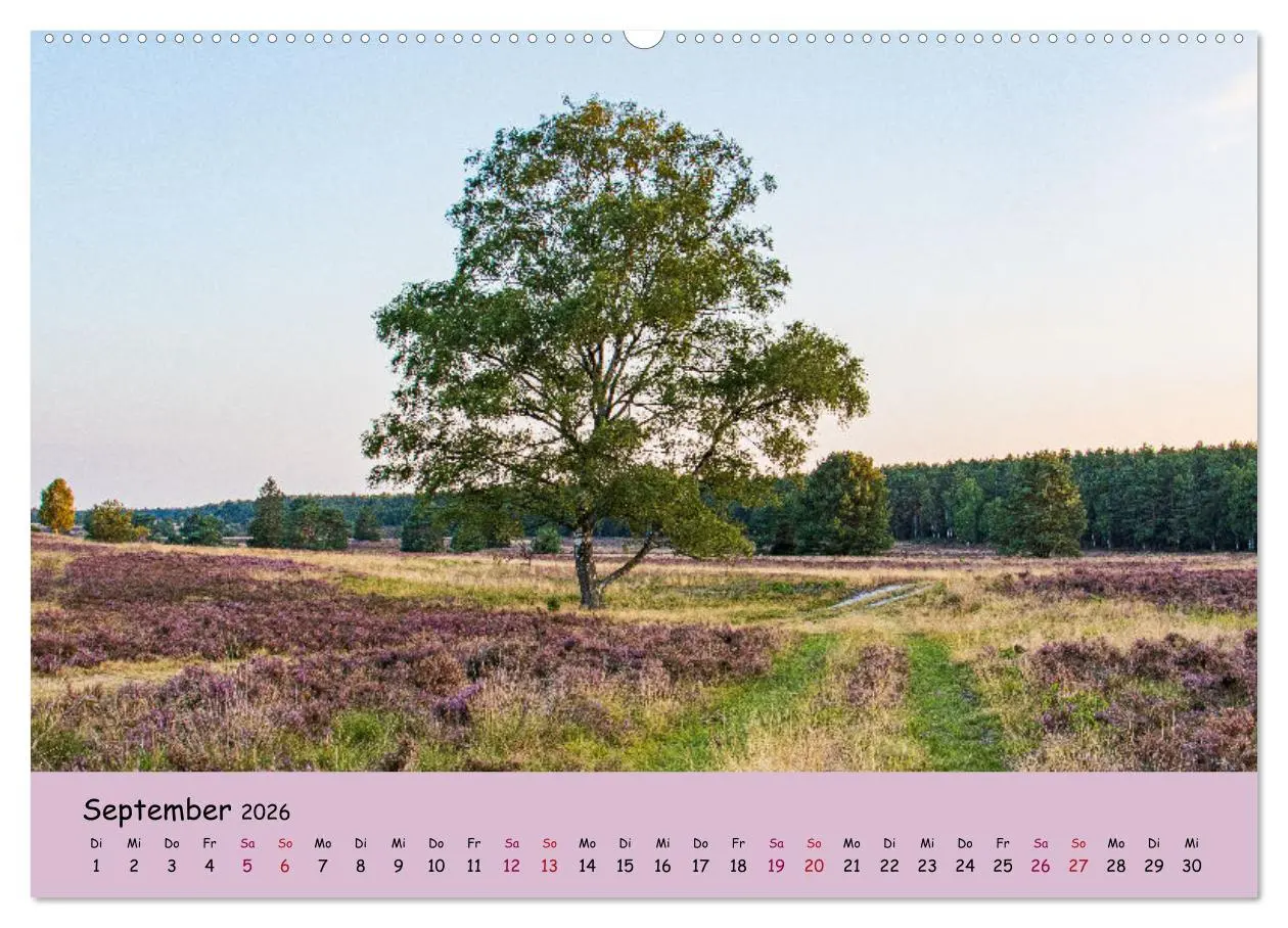 Bild: 9783457447796 | Lüneburger Heide Wege (hochwertiger Premium Wandkalender 2026 DIN...