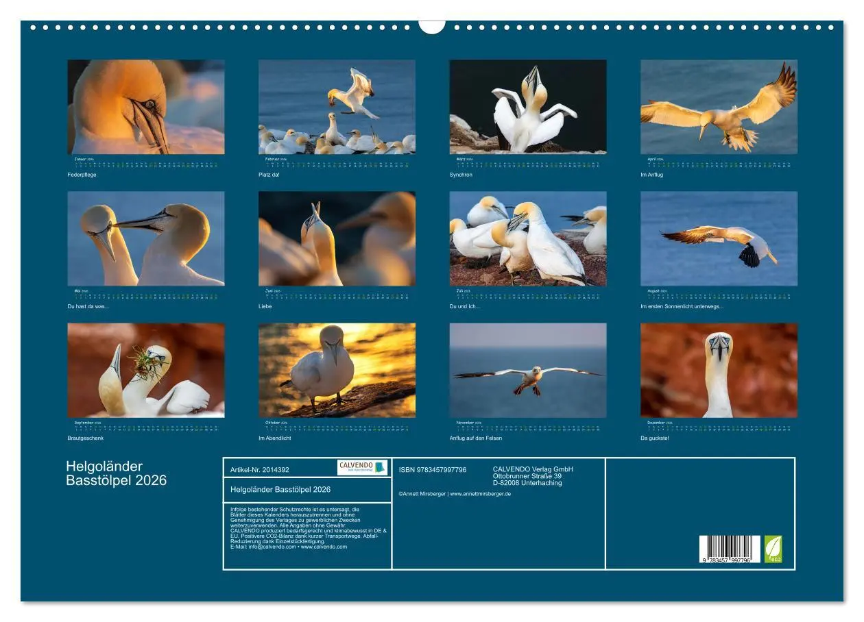 Bild: 9783457997796 | Helgoländer Basstölpel 2026 (Wandkalender 2026 DIN A2 quer),...