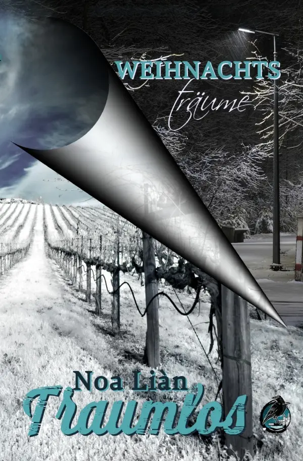 Cover: 9783748507796 | Weihnachtsträume &amp; Traumlos (Gesamtausgabe) | Noa Liàn | Taschenbuch
