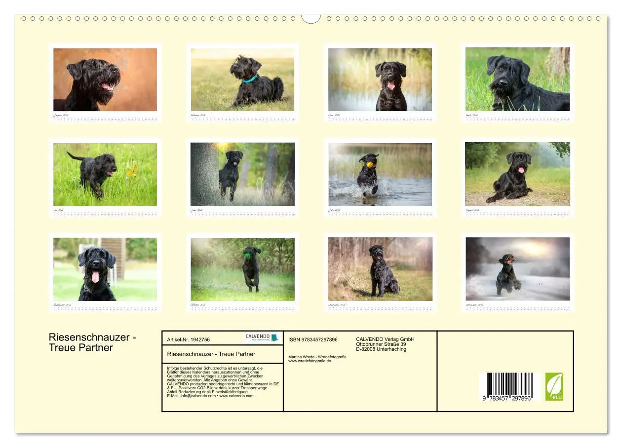Bild: 9783457297896 | Riesenschnauzer - Treue Partner (hochwertiger Premium Wandkalender...
