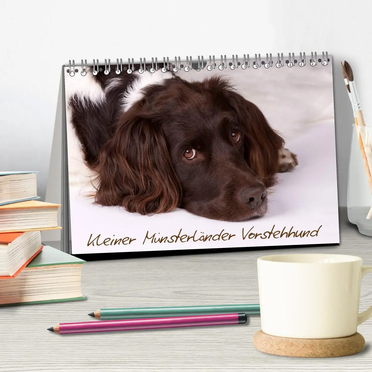 Bild: 9783516077896 | Kleiner Münsterländer Vorstehhund (Tischkalender 2026 DIN A5 quer),...