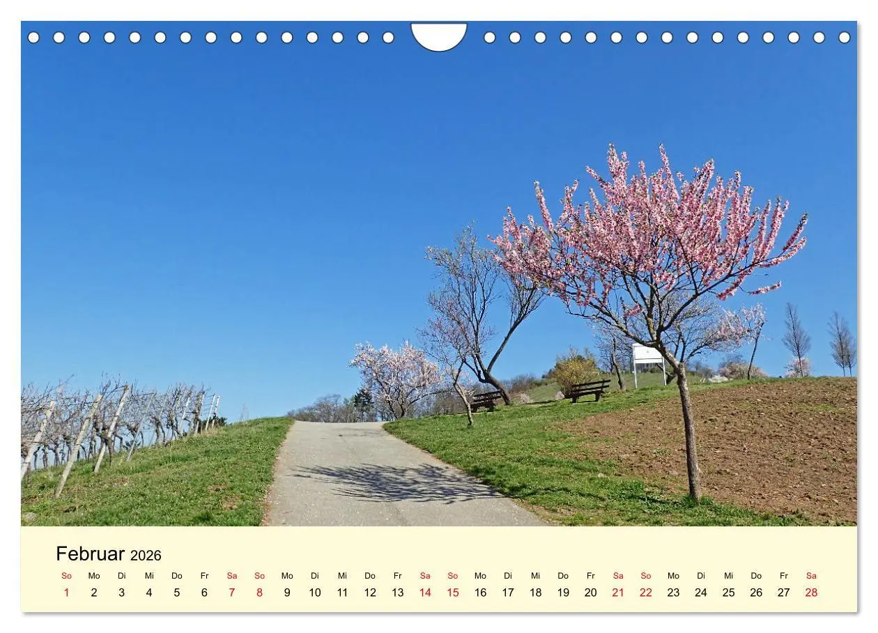 Bild: 9783457737996 | Willkommen in Bensheim an der Bergstraße (Wandkalender 2026 DIN A4...